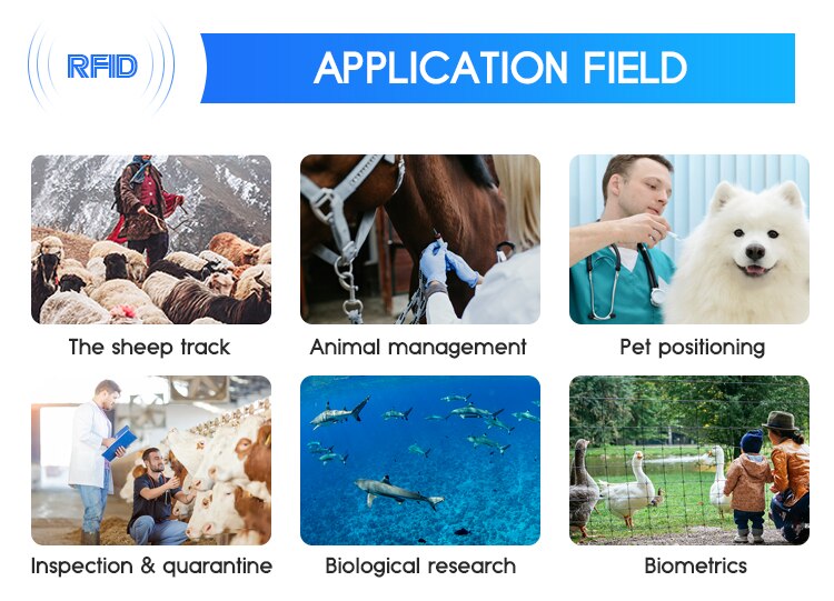 Fish Microchip Biochemical Glass Transponder 1.25*7mm Smart Chip RFID with Applicator Set X5 Birds Pet Small Animal Id Tags