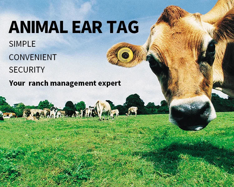 50x RFID Microchip Ear Tags TPU Pet Chip Label for Animal Livestock Identification Cattle Cow Breeding Sheep Grooming